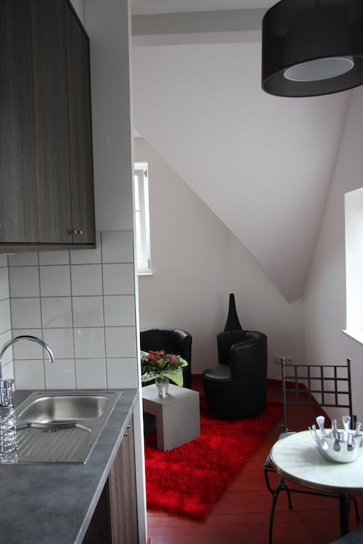 Апартаменты Studio De La Petite Venise Кольмар Экстерьер фото