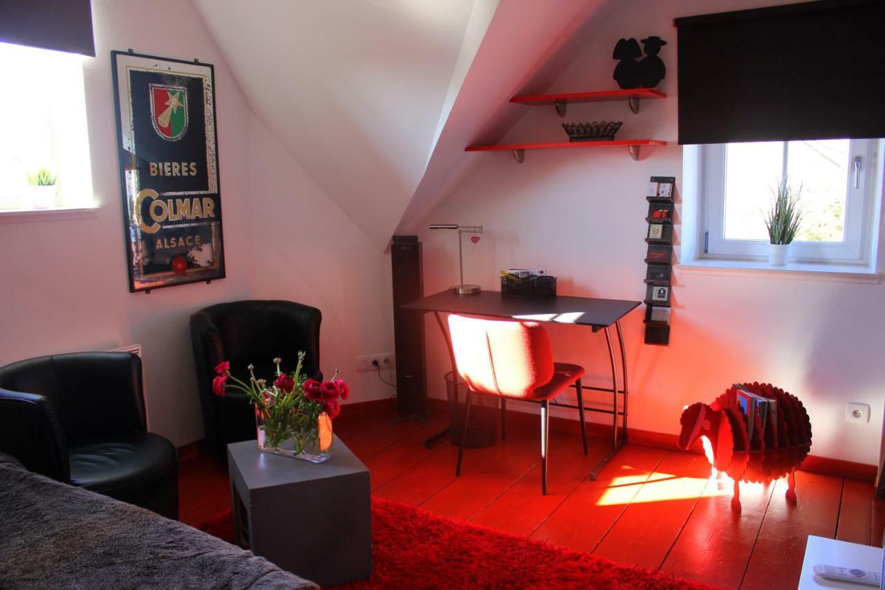 Апартаменты Studio De La Petite Venise Кольмар Экстерьер фото